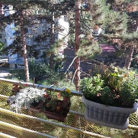 Londa Διαμέρισμα Borjomi Εξωτερικό φωτογραφία
