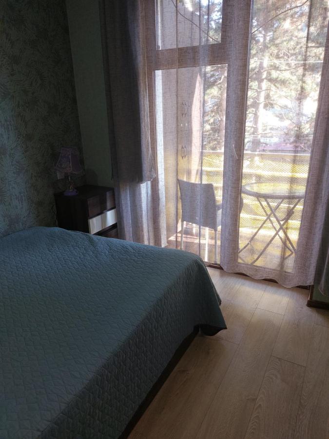 Londa Διαμέρισμα Borjomi Εξωτερικό φωτογραφία