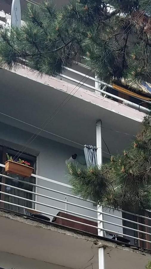 Londa Διαμέρισμα Borjomi Εξωτερικό φωτογραφία